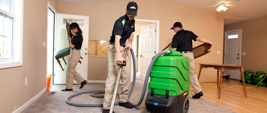 Albany, MN cleaning services